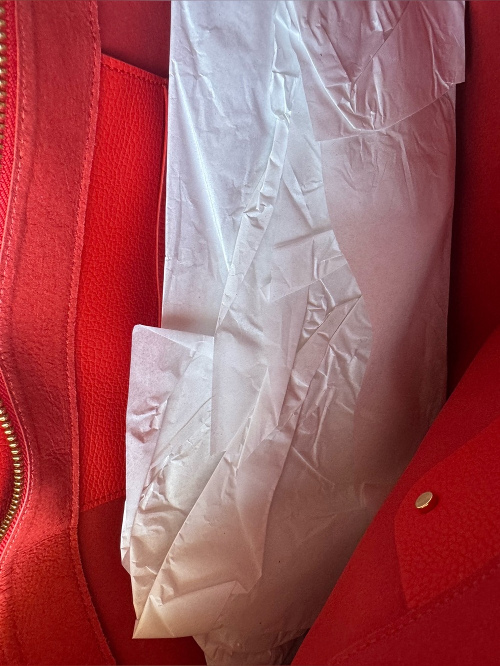 NWT Cuyana Small Easy Zipper Tote in Chili - Picture 11 of 12